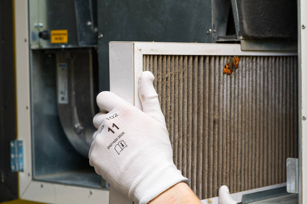 Best Affordable Air Duct Cleaning  in Sigourney, IA