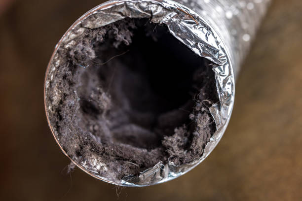 Air Duct Mold Removal in Sigourney, IA